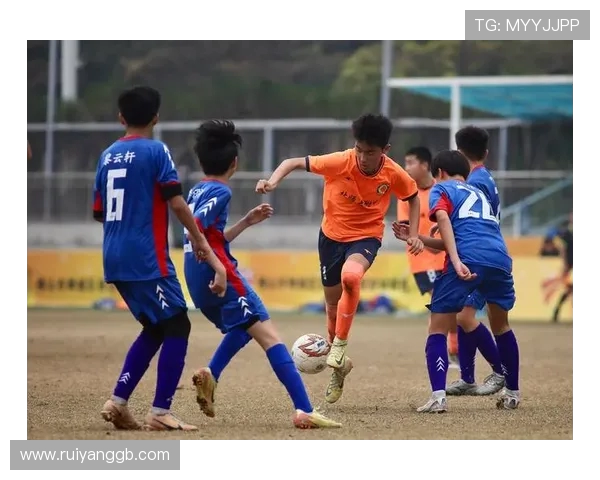郴州队足球奋勇拼搏谱写城市荣耀新篇章激发全民运动热情