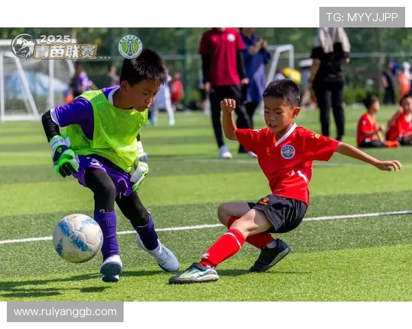足球的魅力与全球化发展趋势:从球场到文化影响力的全面探索 足球的魅力与全球化发展趋势:从球场到文化影响力的全面探索