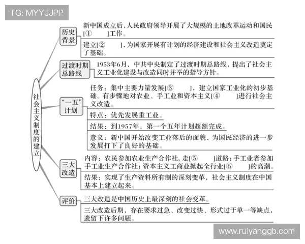 上海篮球队的控制革新探索与发展路径分析