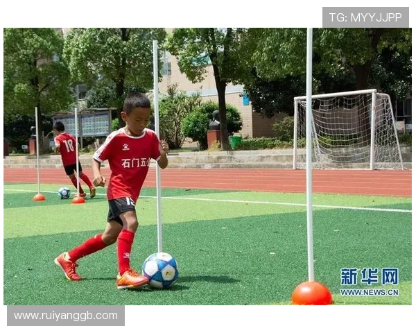 专访王敏：探寻足球背后的成功秘诀与发展之路