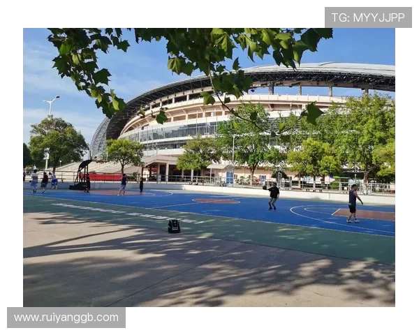 杭州篮球队篮球意识创新高引发热议全城关注球队未来发展潜力